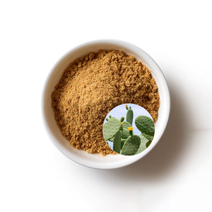 Polvo de Extracto de <span class=keywords><strong>Hoodia</strong></span> <span class=keywords><strong>Gordonii</strong></span> de Alta Calidad - Product Image 1