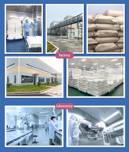 Fabrika kaynağı satın 99% ek deniz Codfish kondroitin sülfat glukozamin - Product Image 5