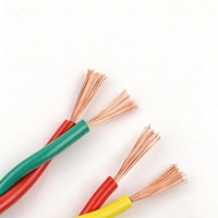Câble souple torsadé RVS en cuivre sans oxygène 2*6mm 300V isolé PVC pour alarme, haut-parleur, interphone OEM, faible MOQ, livraison rapide