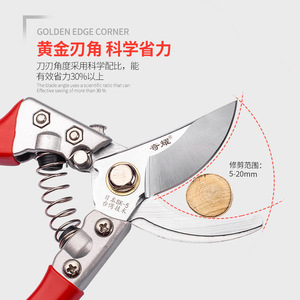 Qiyao <b>Pruning</b> Shears 10 Inches Carbon Steel Blade 5-20mm Trimming Diameter For Fruit <b>Trees</b> Gardening Floral Arrangements - Product Image 1