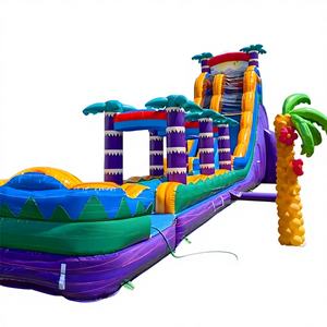 Tobogán Acuático Inflable de PVC Tropical para Uso Comercial en Exteriores, para el Hogar y la Escuela, Uso Húmedo/Seco - Product Image 1