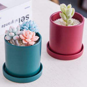 Vente en gros de plantes vertes succulentes pour <span class=keywords><strong>jardin</strong></span>, <span class=keywords><strong>vase</strong></span> frais pour la décoration de la maison, pots de fleurs nordiques émaillés colorés en céramique - Product Image 3