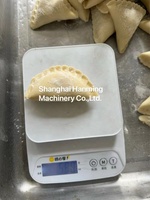 Fourniture directe d'usine machine automatique de boulettes de ravioli de samosa électriques polyvalents