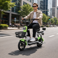 Vélo électrique Paige en vente directe d'usine, fabriqué en Chine, vélo électrique de stockage, trottinettes électriques, vélo de ville pour adulte, pédicab électrique