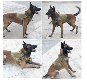 カスタムK9ワーキングドッグベスト引っ張らないフロントクリップリーシュアタッチメント戦術的な犬のハーネス - Product Image 5