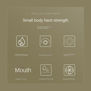 Venta caliente Cocina de Inducción portátil estufa de encimera eléctrica infrarroja para el hogar cocina al aire libre uso Hotpot acero inoxidable - Product Image 2