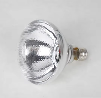 Ampoule chauffante infrarouge durable pour élevage avicole 175W 250W 275W - Lampe chauffante électrique pour poussins et petits animaux
