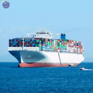Giá rẻ container Nhà cung cấp từ Đài Loan, Trung Quốc để Bangalore/<span class=keywords><strong>bombay</strong></span>/CALCUTTA/chennai, Ấn Độ Fob exw CIF ddu DDP - Product Image 3