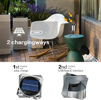 Lanterne d'ambiance de camping rechargeable par USB étanche pour cour jardin patio porche décor solaire LED lumière de paysage portable