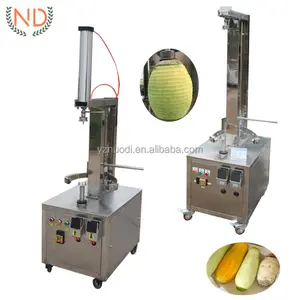 Papaja Pompoen Huid Peeling Machine Wax Kalebas Huid Verwijderen Machine Jackfruit Zaad Peeling Machine