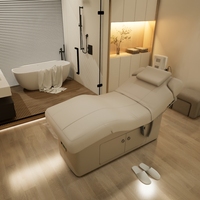 Lash Salon Beauty Furniture Table de traitement de massage électrique avec 2 moteurs Lit facial Spa Berceaux pour hôtels DMC1 Esthétique