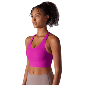 Soutien-gorge de sport pour femme, rembourré, sans couture, extensible, respirant, séchage rapide, pour fitness et gym, personnalisable, vente en gros, ajustable, simple, haute performance - Product Image 2
