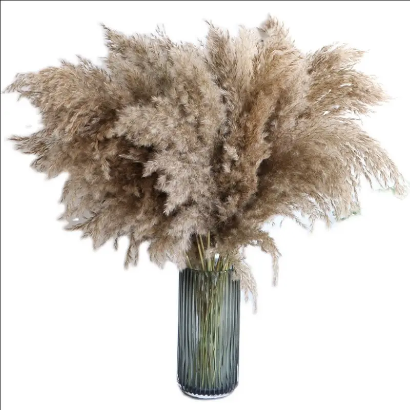 Forest Vintage Style Bouquet wedding decoration small dried flowers large reed dried real flowers Nordic pampas Dog Tail Grass