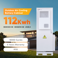 Kabinet Baterai DC Modular Luar Ruangan DAH New Arrival Safe 112kWh/251kwh Bersertifikasi IEC62619 CB UN38.3 Triple Cert