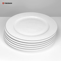 Plats Plats en Porcelaine Céramique Ronds de 10,5 Pouces Blanc Pur, Grand Lot Hôtelier pour Restaurant
