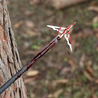Lot de 6 flèches de carabine à poulies en carbone de 20 pouces avec plumes en plastique et pointes de chasse, nocks lumineux pour la pratique du tir à l'arc, la chasse et le tir sportif