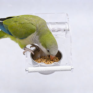 <span class=keywords><strong>2025</strong></span> Yeni Stil Evcil Hayvan Malzemeleri Akrilik Şeffaf Paslanmaz Çelik Papağan Yemliği Papağanlar ve Evcil Kuşlar için - Product Image 4