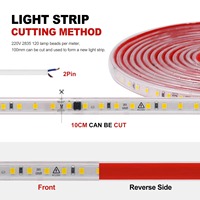 Bande LED haute tension AC 220V sans driver, 240 LED/m, 120 LED/m, multicolore, étanche IP44, éclairage architectural professionnel