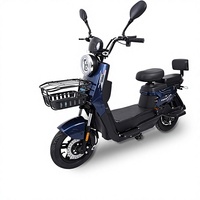 Vélo électrique à deux roues longue portée de grande taille 48V pour les trajets quotidiens des adultes