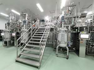 Vacina Hepatite B Vacina Tanques De Fermentação Fermentador De Aço Inoxidável Bioreator 50L - Product Image 4