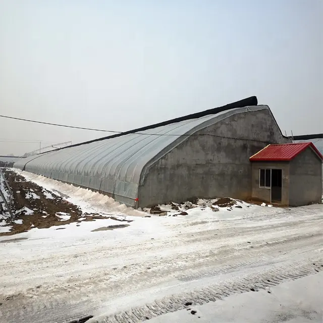 Serre commerciale de tomate FM avec système hydroponique avec systèmes de contrôle du climat