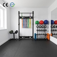 VIGFIT Premium Total Body Smith Machine Power Cage avec rangement pour poids pour optimiser l'espace de la salle de sport, du studio ou de la boutique d'entraînement
