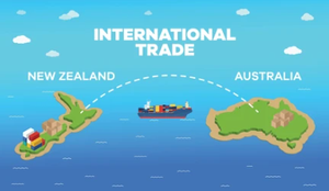 บริการโลจิสติกส์แบบครบวงจร ราคาดีที่สุด บริการจัดส่งแบบ DDP DDU ไปยังออสเตรเลียและนิวซีแลนด์ พร้อมบริการจัดการคำสั่งซื้อ - Product Image 4