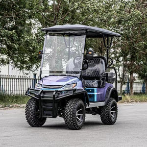 Carrito de Golf Eléctrico ODM de 4 Plazas, Buggy de Golf Todoterreno, Vehículo Divertido con Batería, Buggy de Golf con Certificación CE para Carreteras No Públicas - Product Image 6