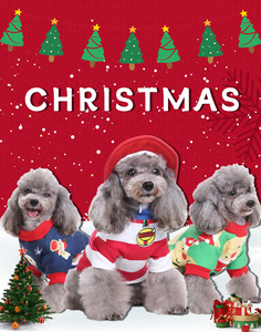 JXANRY-Disfraces para perros y mascotas, ropa para perros pequeños y medianos, ropa bonita para mascotas - Product Image 3