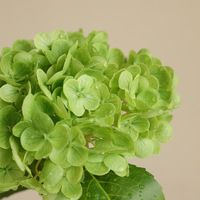 Tendance 2026 : Fleurs d'hortensia artificielles effet toucher réel, fausses fleurs d'hortensia vertes et blanches en latex pour mariage et décoration intérieure