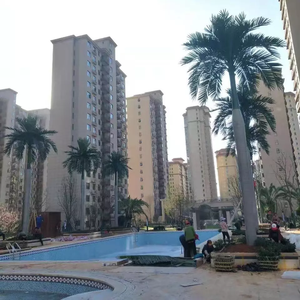 Tùy chỉnh trong nhà trang trí nội thất giả lớn cây sợi thủy tinh thân cây Washington cây cọ nhân tạo cây dừa - Product Image 4