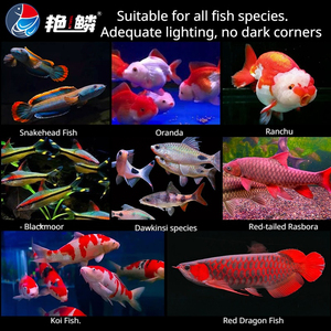 Aquariumverlichting maakt je favoriete visjes glanzender. - Product Image 2