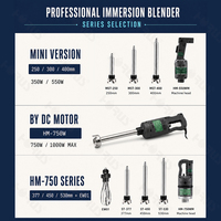 Mixeur plongeant multifonctionnel 4 en 1 de grande capacité, 750 W, commercial