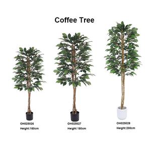 Gran oferta, 160cm, 63 pulgadas, árbol <span class=keywords><strong>de</strong></span> <span class=keywords><strong>cacao</strong></span> artificial decorativo, árbol <span class=keywords><strong>de</strong></span> café artificial para sala <span class=keywords><strong>de</strong></span> estar, balcón, esquina, decoración <span class=keywords><strong>de</strong></span> oficina - Product Image 6