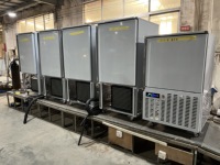 Équipement de congélation rapide en acier inoxydable pour usine de produits surgelés -80 degrés Réfrigérant écologique -40 degrés