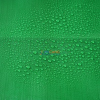 Bâche en PE imperméable à prix d'usine, robuste et pliable, avec bords renforcés pour chantier de construction et agriculture