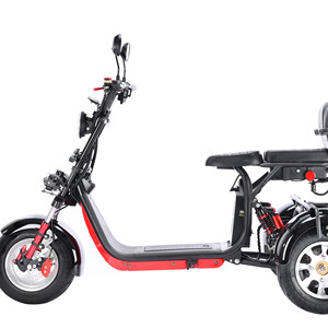 <span class=keywords><strong>Batterie</strong></span> <span class=keywords><strong>amovible</strong></span> bonne qualité conduite sécuritaire 1500w 60v12ah <span class=keywords><strong>3</strong></span> roue électrique tricycle <span class=keywords><strong>scooter</strong></span> pour personnes âgées modèle CP-<span class=keywords><strong>3</strong></span>.0 - Product Image 3