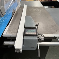 Scie à panneaux de précision de type européen 3200 mm, à cadre robuste, pour le travail du bois, avec table coulissante, levage motorisé et inclinomètre numérique