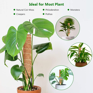 Poteau en fibre <span class=keywords><strong>de</strong></span> coco pour plantes grimpantes, support <span class=keywords><strong>de</strong></span> jardinage et extension <span class=keywords><strong>de</strong></span> croissance - Product Image 6