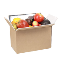 48-72h Cajas de envío congeladas Caja de cartón de aluminio térmico grande Embalaje para envío Cartón corrugado Relieve Laminación mate