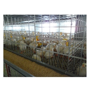 <span class=keywords><strong>Cage</strong></span> de ponte de poulet de type A pour l'élevage de volailles 3/4 niveaux avec une capacité de 96/128 nouvelles cages à poulet automatiques à usage domestique - Product Image 2