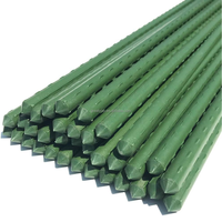 Piquets pour plantes grimpantes en acier Support pour plantes en pot Tomates et fleurs