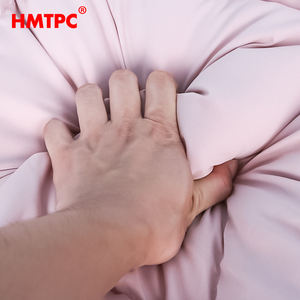 Yüksek Kaliteli Lüks Küçük Masif Ahşap Pamuklu Köpek Evi Lüks Üçgen Çadır Evcil Hayvan Kulübesi - Product Image 2