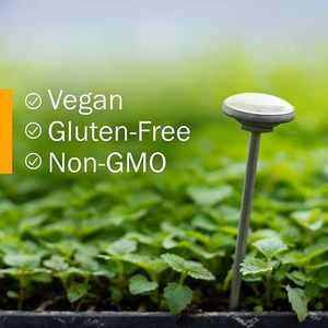 Nhãn hiệu riêng đuôi ngựa tự nhiên chiết xuất chất lỏng lỏng giọt equisetum arvense thảo dược bổ sung - Product Image 5