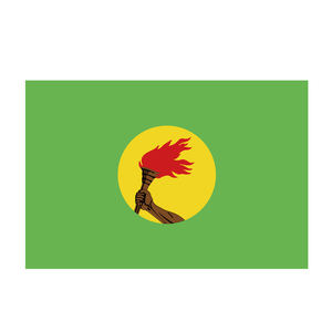 Desain kustom poliester bendera nasional Promosi sisi ganda pencetakan spanduk Zaire 3x5FT bendera untuk dekorasi dalam ruangan luar ruangan - Product Image 3