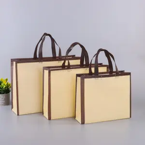 Direct Sale Recycled Fashion Environmental Friendly Customize Eco-Friendly Non-Woven Fabric Foldable Bags