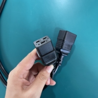 Câble d'extension robuste IEC 60320 C20 vers C19 16A 1875W 250V avec conducteurs 14AWG pour applications de serveurs de grande taille