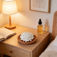 Diffuseur d'arômes passif en forme de fleur succulente, pierre parfumée aux huiles essentielles pour la décoration de la maison, ornement, cadeau désodorisant pour le salon
