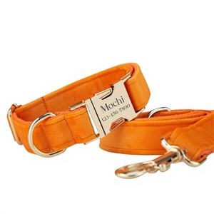 ชุดปลอกคอสุนัขและสายจูงแบบผูกโบว์สีส้มแบบกำหนดเองได้ พร้อมหัวเข็มขัดโลหะสลักชื่อ ของขวัญวันเกิดสำหรับลูกสุนัข จัดส่งฟรี - Product Image 1