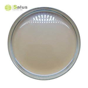 Cosmétiques Grade Cas 5466 ÉTHYLHEXYLE MÉTHOXYCINNAMATE - Product Image 1